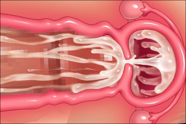 �\�[�v�����h�Ń��������̏��̎q�Ɛ��Z�b�N�X�E���o����3���