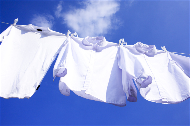 �����ŗV�Ԏ��̕����I��̂ǂ�ȗm���E�����E�C�������Ȃ̂��H